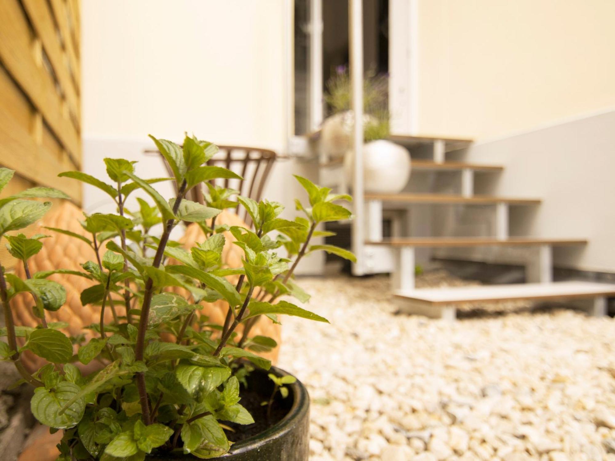 BAUHAUS Design-Luxus Apartment, 20er Jahre Stil, Garten Gera Exterior foto